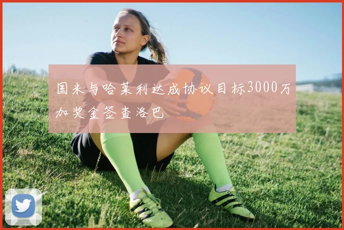 国米与哈莱利达成协议目标3000万加奖金签查洛巴